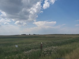 5486113