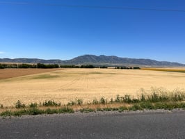 28988686