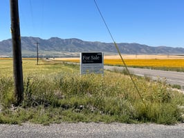 28988691