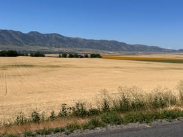 28988688