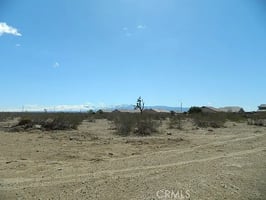30147326