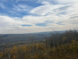 8504623