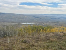 8504622