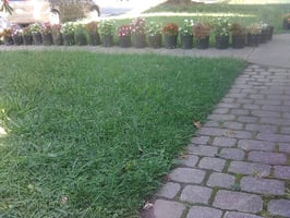 5825699