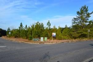 20082196