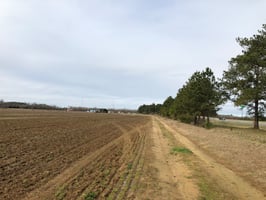 6225764