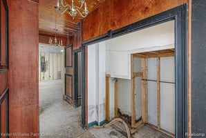 33646259