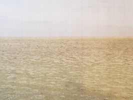 23353229