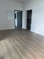 24602381