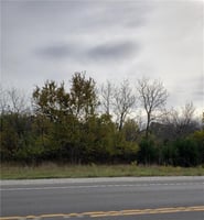 20469551