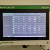 31684245