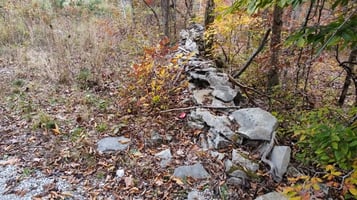 26546016