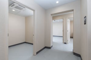 27323562
