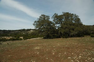 7133590