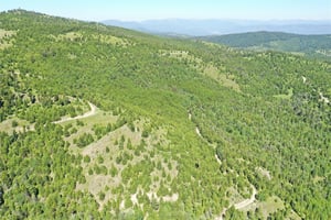 20378705