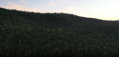 8504655