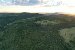 15688266