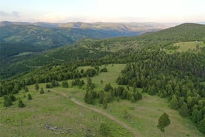 15688264