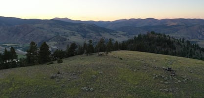 12698454