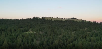 12698439