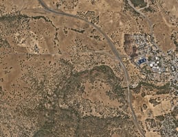 31367745