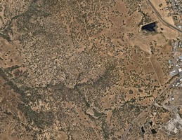 31367747