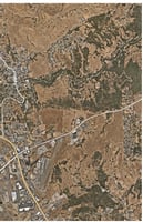 31367746