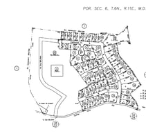 31367741