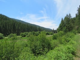 7623323