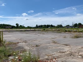 7753829