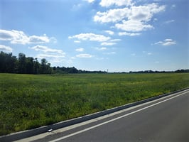 7906313