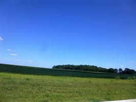 7906338