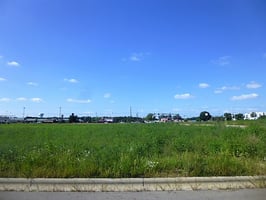7906341