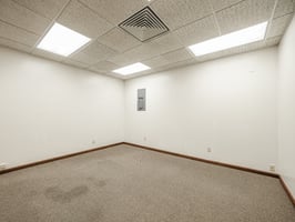 34419262