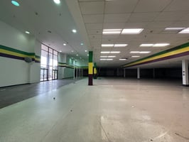 8020446