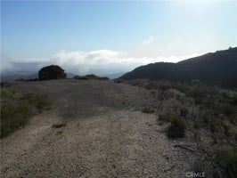 30769351