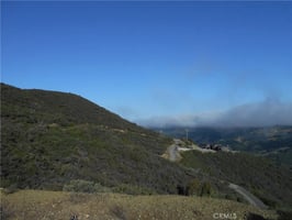 30769342