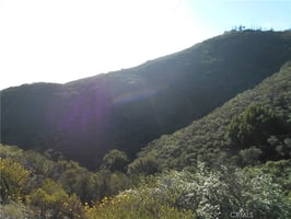 30769346