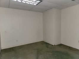 8204205