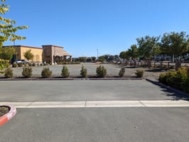8301874