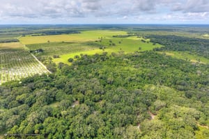 8312146