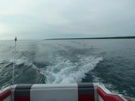 8562107