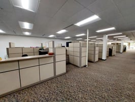 8567081