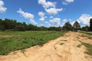 9246274