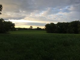 10922456