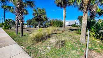 29831373