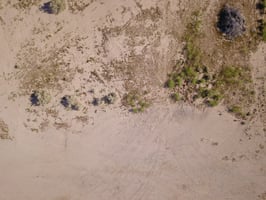 9321063