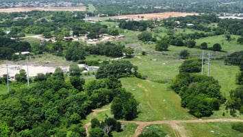 32006369