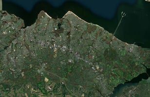 11646419