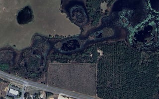 10994767